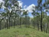 2655 Clonmel Road, Monto, Qld 4630-Image
