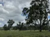 2655 Clonmel Road, Monto, Qld 4630-Image