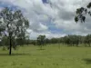 2655 Clonmel Road, Monto, Qld 4630-Image