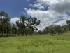 2655 Clonmel Road, Monto, Qld 4630-Image