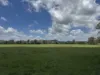 2655 Clonmel Road, Monto, Qld 4630-Image