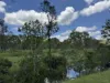 2655 Clonmel Road, Monto, Qld 4630-Image