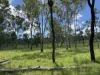 2655 Clonmel Road, Monto, Qld 4630-Image