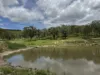 2655 Clonmel Road, Monto, Qld 4630-Image
