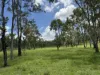 2655 Clonmel Road, Monto, Qld 4630-Image