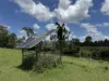 2655 Clonmel Road, Monto, Qld 4630-Image