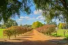 26582 South Western Highway, Wilgarrup, WA 6258-Image