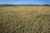 267 Bennett School Road, Tara, Qld 4421-Image