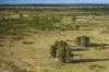 267 Bennett School Road, Tara, Qld 4421-Image