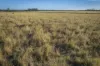 267 Bennett School Road, Tara, Qld 4421-Image