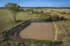 267 Bennett School Road, Tara, Qld 4421-Image