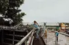 2687 Dawson Developmental Road, Springsure, Qld 4722-Image