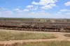 2687 Dawson Developmental Road, Springsure, Qld 4722-Image