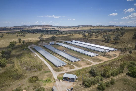 2797  Manilla Road, Attunga, NSW 2345