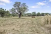 2797  Manilla Road, Attunga, NSW 2345-Image