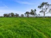 281 Crower Road, Avenue Range, SA 5273-Image