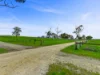 281 Crower Road, Avenue Range, SA 5273-Image