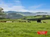 285 Gardiners Road, Foster, Vic 3960-Image