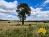 296 Cloyna West Road, Cloyna, Qld 4605