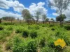 296 Cloyna West Road, Cloyna, Qld 4605-Image
