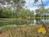 296 Cloyna West Road, Cloyna, Qld 4605-Image
