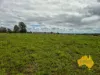 296 Cloyna West Road, Cloyna, Qld 4605-Image