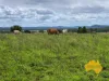 296 Cloyna West Road, Cloyna, Qld 4605-Image