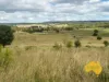 296 Cloyna West Road, Cloyna, Qld 4605-Image