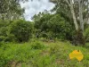 296 Cloyna West Road, Cloyna, Qld 4605-Image