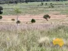 296 Cloyna West Road, Cloyna, Qld 4605-Image