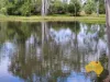 296 Cloyna West Road, Cloyna, Qld 4605-Image