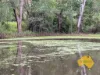 296 Cloyna West Road, Cloyna, Qld 4605-Image