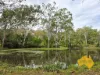 296 Cloyna West Road, Cloyna, Qld 4605-Image