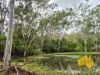 296 Cloyna West Road, Cloyna, Qld 4605-Image