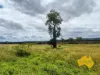 296 Cloyna West Road, Cloyna, Qld 4605-Image