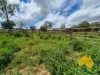 296 Cloyna West Road, Cloyna, Qld 4605-Image