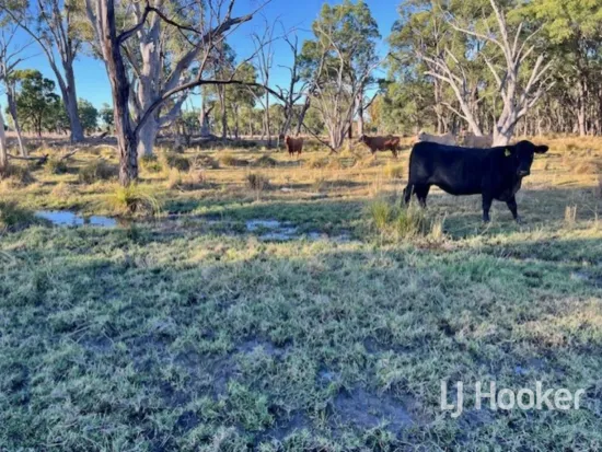 296 Limestone Road, Inverell, NSW 2360