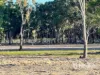 296 Limestone Road, Inverell, NSW 2360-Image