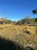 296 Limestone Road, Inverell, NSW 2360-Image