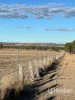 296 Limestone Road, Inverell, NSW 2360-Image