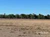 296 Limestone Road, Inverell, NSW 2360-Image