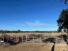 296 Limestone Road, Inverell, NSW 2360-Image