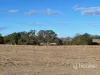 296 Limestone Road, Inverell, NSW 2360-Image