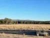 296 Limestone Road, Inverell, NSW 2360-Image