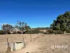296 Limestone Road, Inverell, NSW 2360-Image