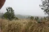 3, 3 Goyan Road, New Moonta, Qld 4671-Image
