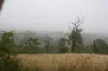 3, 3 Goyan Road, New Moonta, Qld 4671-Image