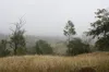 3, 3 Goyan Road, New Moonta, Qld 4671-Image
