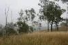3, 3 Goyan Road, New Moonta, Qld 4671-Image