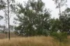 3, 3 Goyan Road, New Moonta, Qld 4671-Image